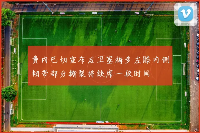费内巴切宣布后卫塞梅多左膝内侧韧带部分撕裂将缺席一段时间