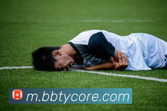 多媒体互动体验